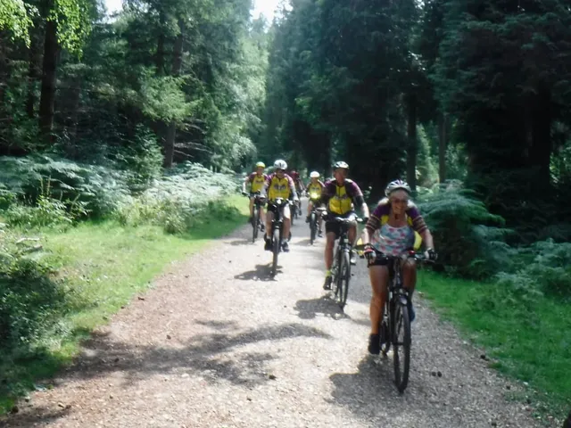 Castle Wheelers