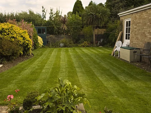 Dorset Roots: Professional Grounds Maintenance