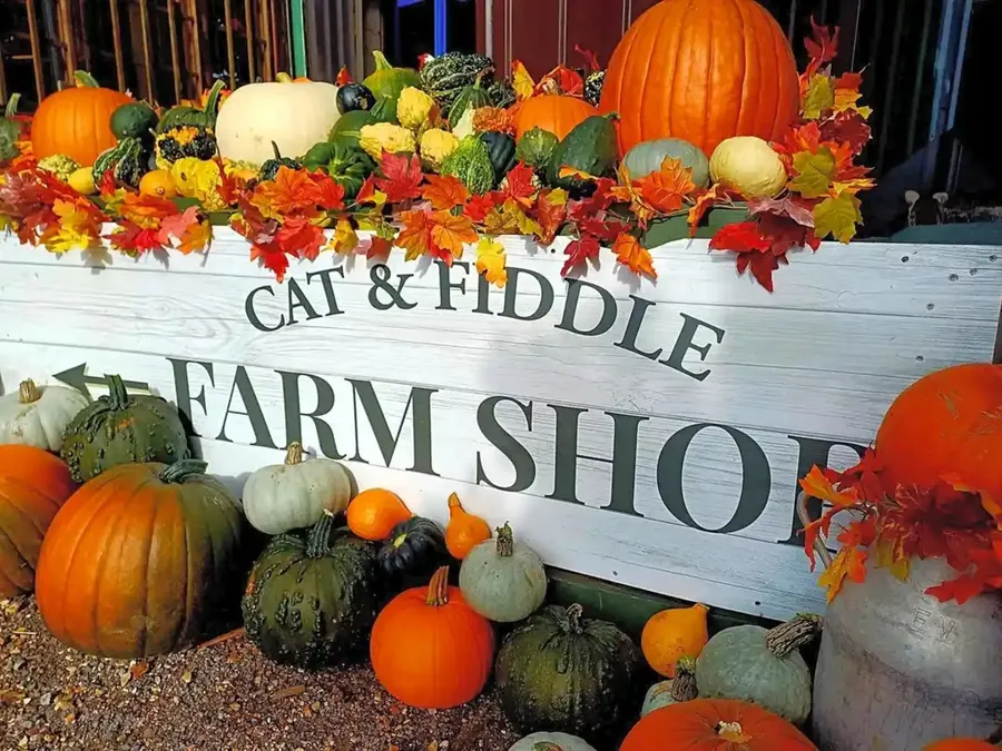 Pumpkins and produce crates outside the timber farm shop at Cat and Fiddle Farm, Hinton