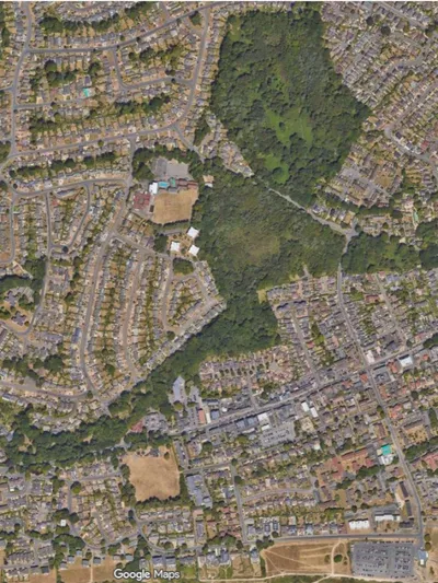 Residential street and tree cover along Jesmond Avenue, Highcliffe
